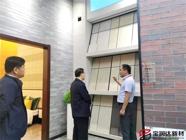 熱烈歡迎許昌市統戰部部長楚雷蒞臨寶潤達